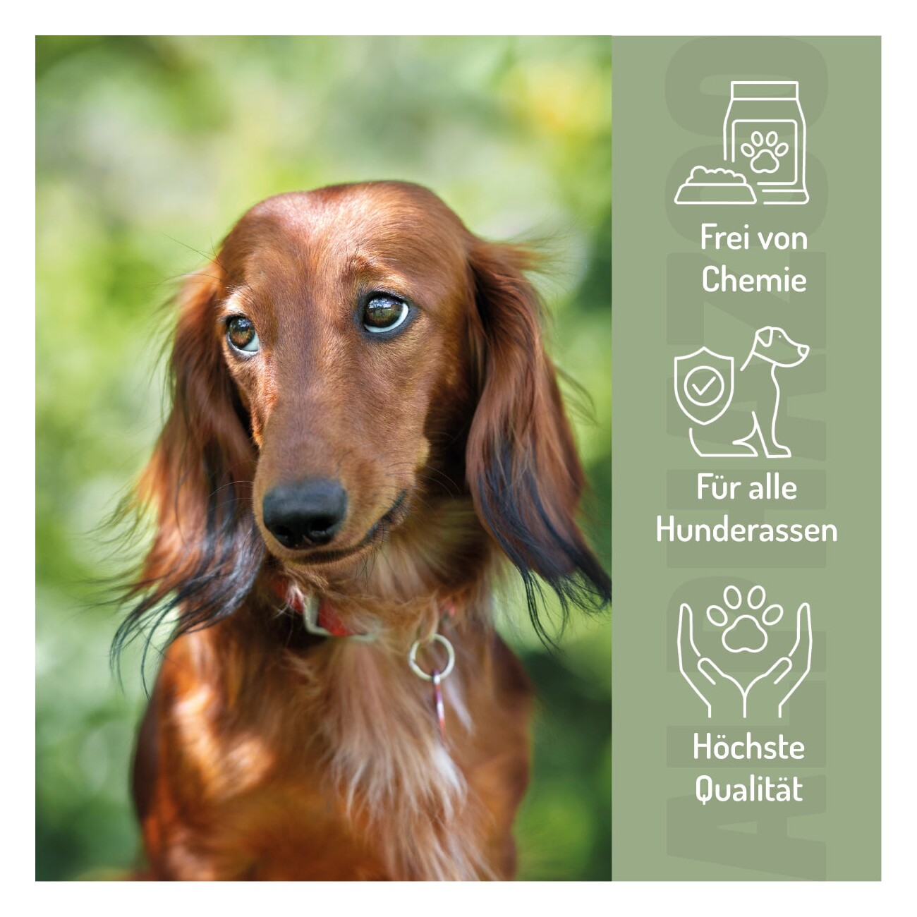 ALPHAZOO Seelenruhe Anti-Stress Tabletten für Hunde 75 g
