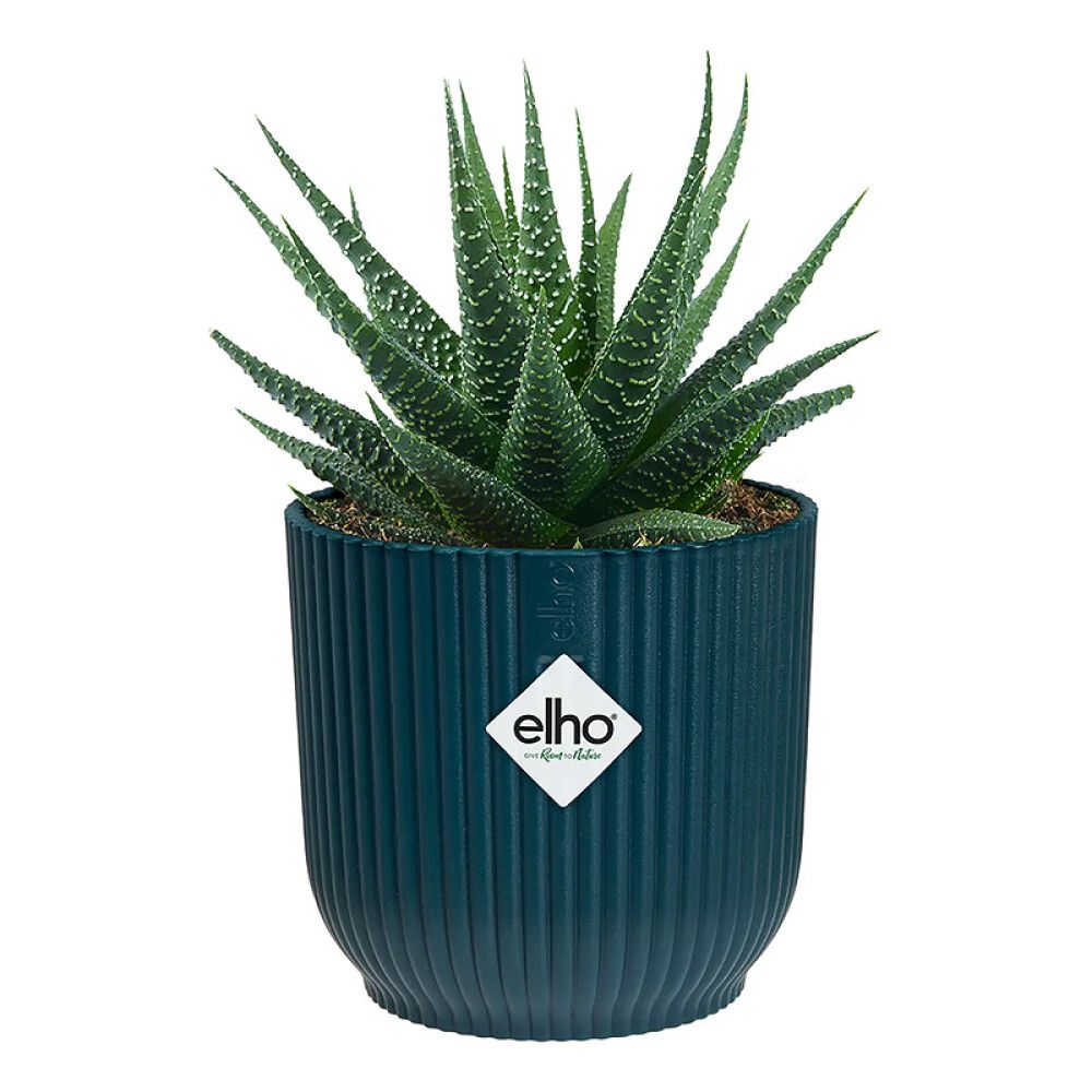 INNEPOTTE ELHO VIBES FOLD ROUND MINI Ø11CM BLÅ