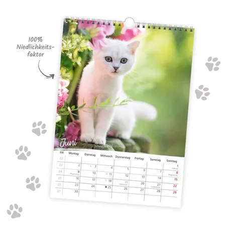 Trötsch Classic-Kalender 