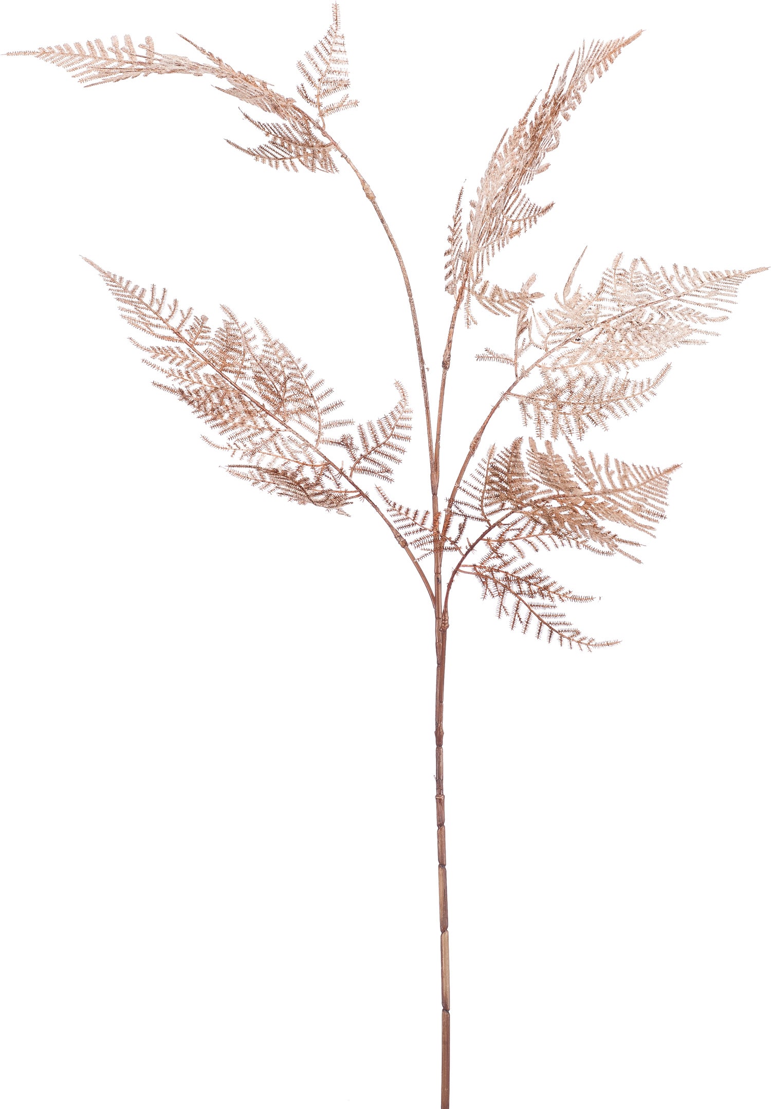 Emerald kunsttak Asparagus bruin 110 cm