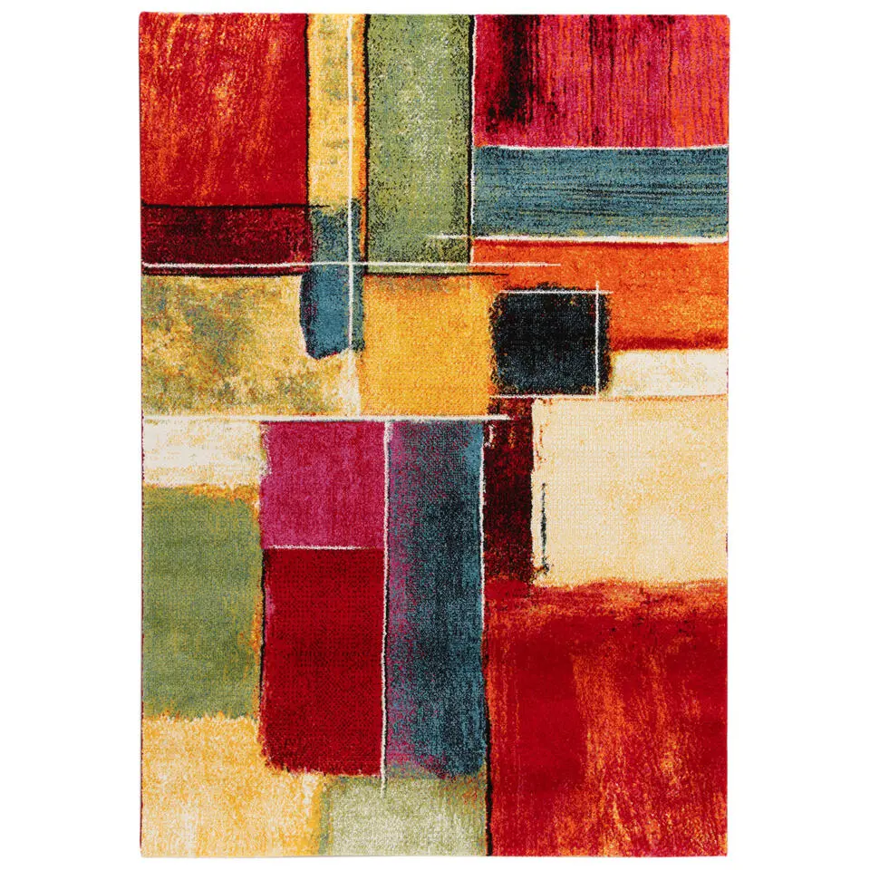 Dutch Lifestyle - Polypropyleen - Vloerkleed - 200 x 290cm - Multikleur