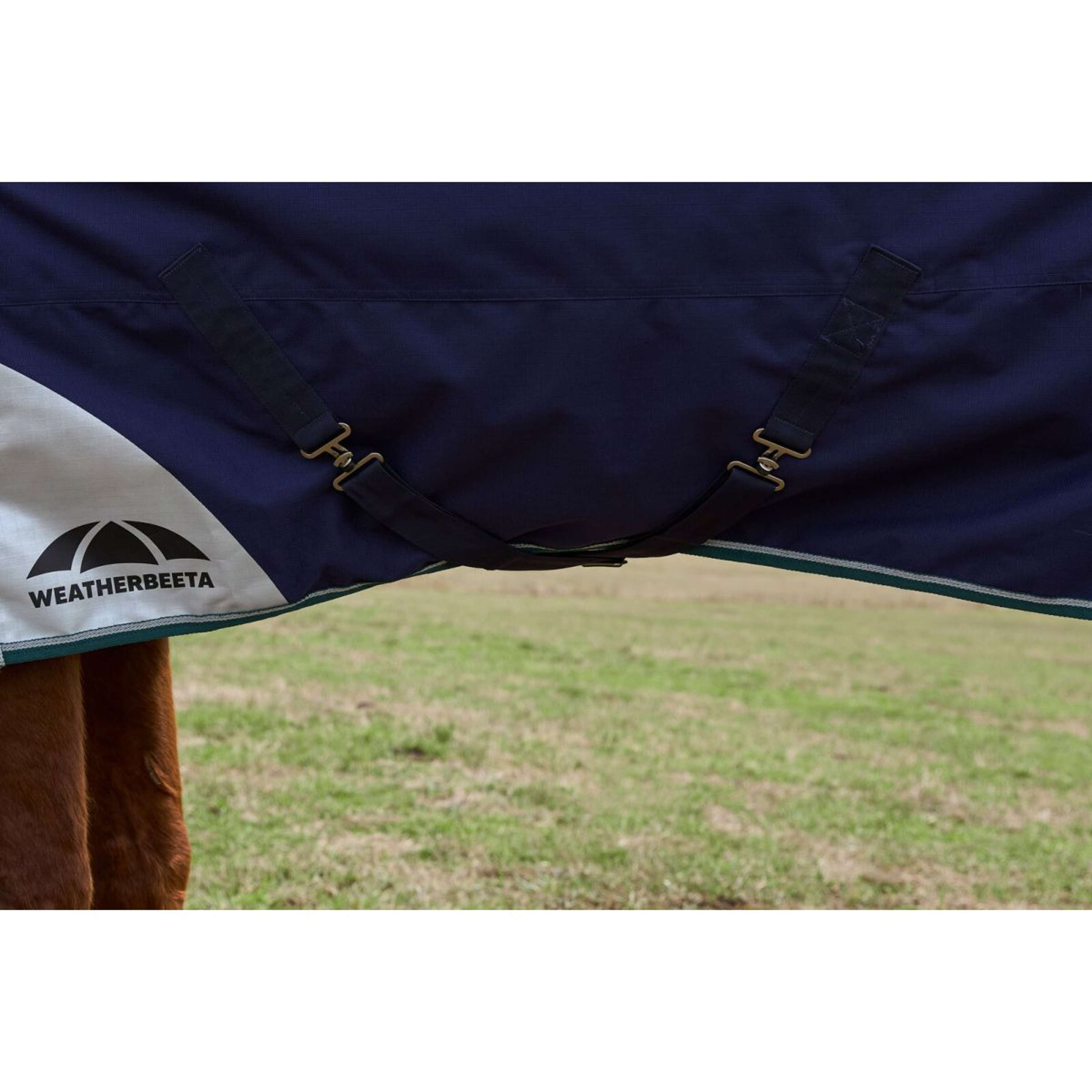 WeatherBeeta ComFiTec Plus Dynamic Turnout 100g Navy/Forest Green