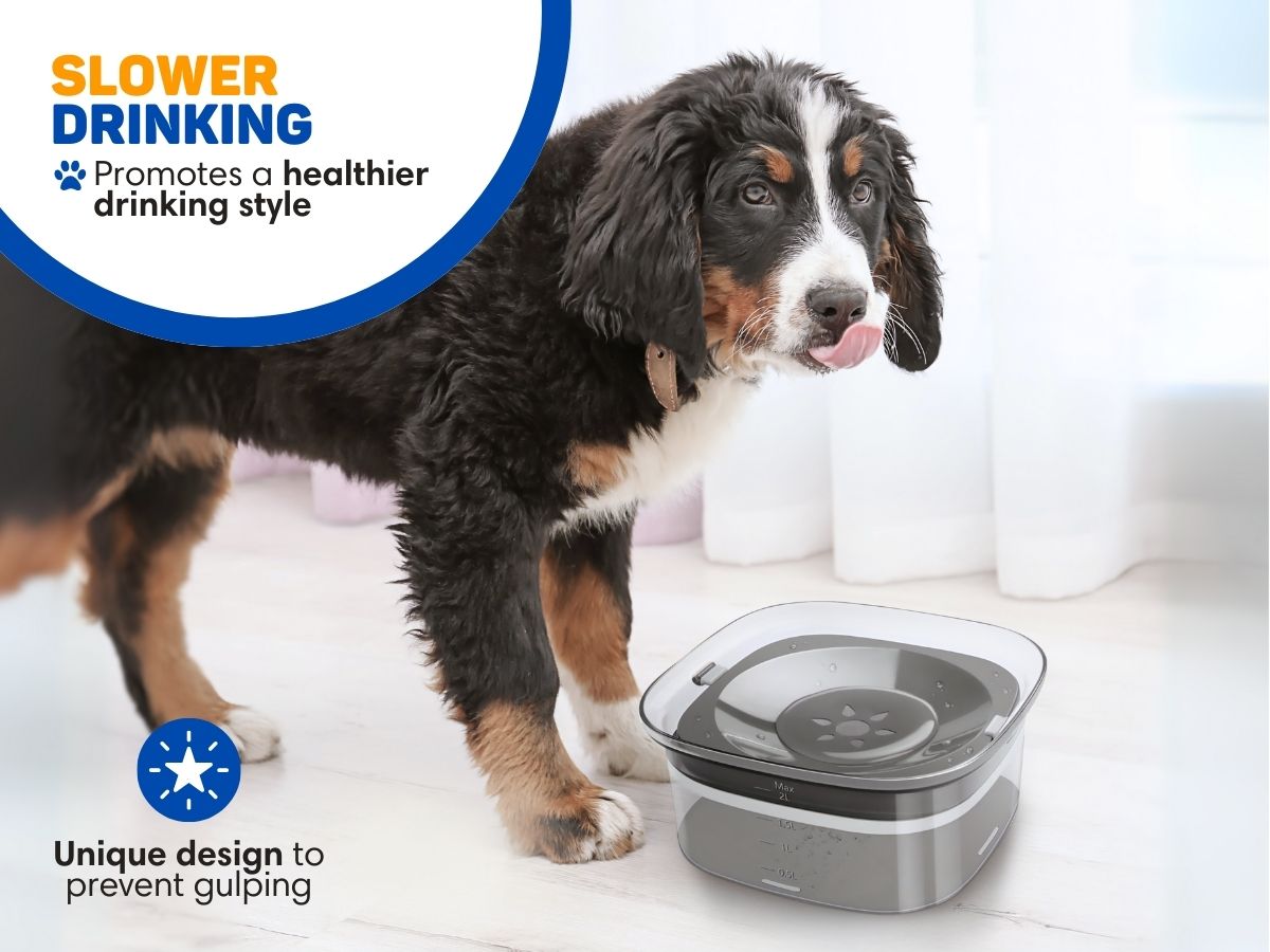 Vulpes Goods honden drinkbak - 2 liter