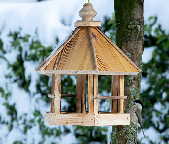 Vogelfutterhaus »Caliente«