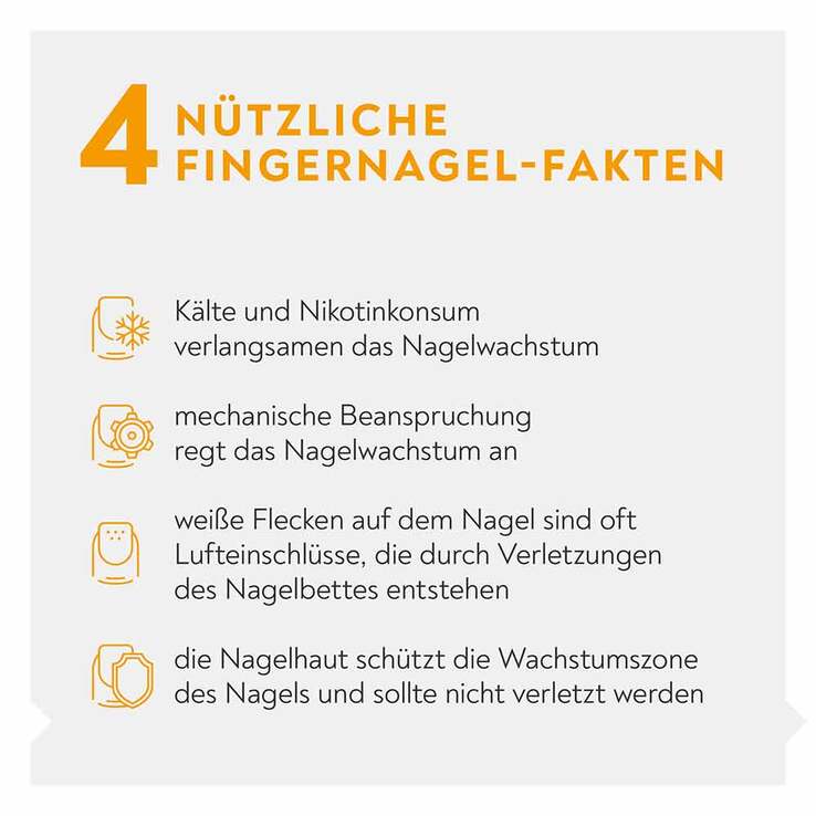 Bio-H-Tin Nagelcreme Plus, 8 ml