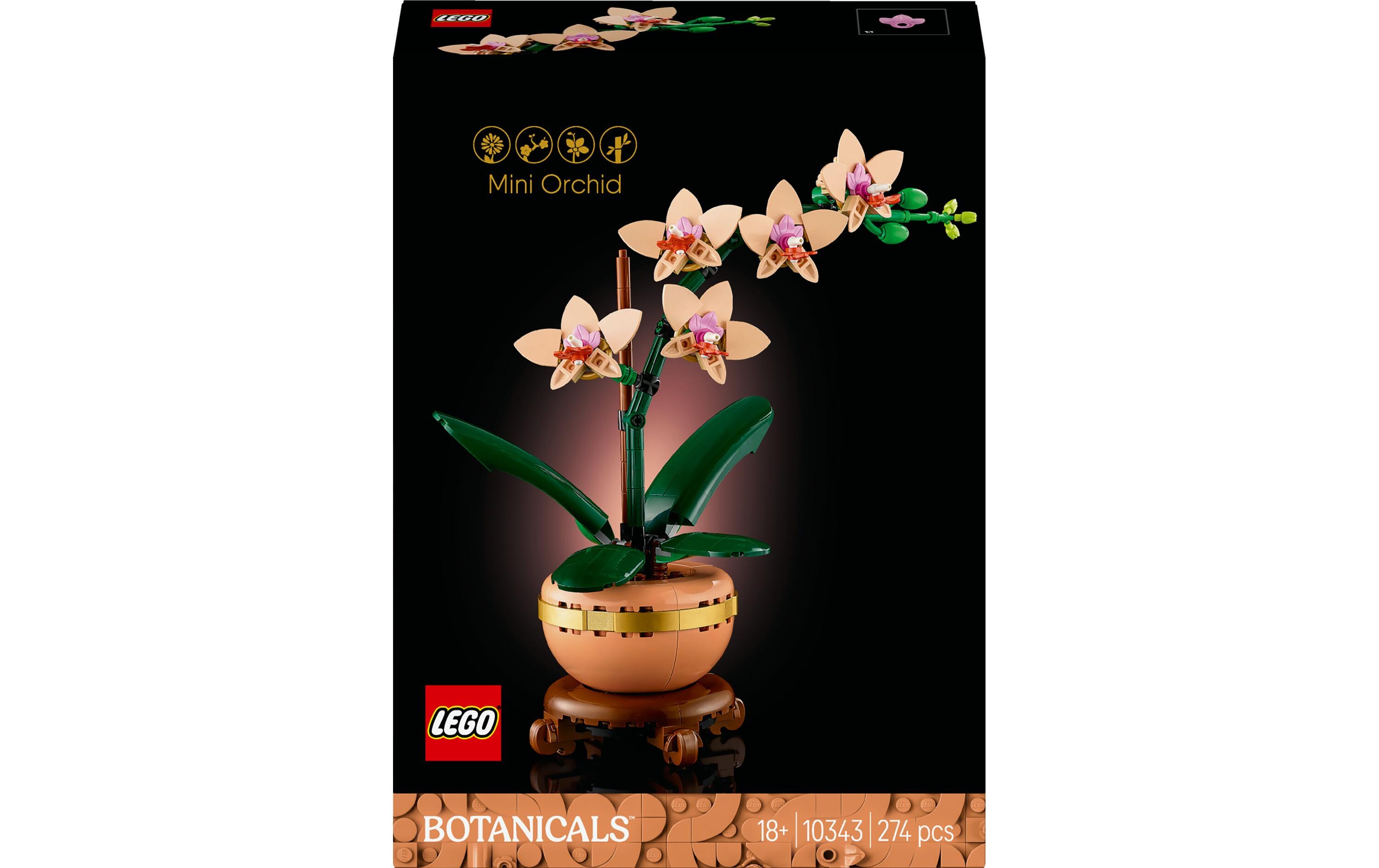 Icons Botanicals Mini-Orchidee 10343Prächtige Lego-Blume, kreativer Bauspass