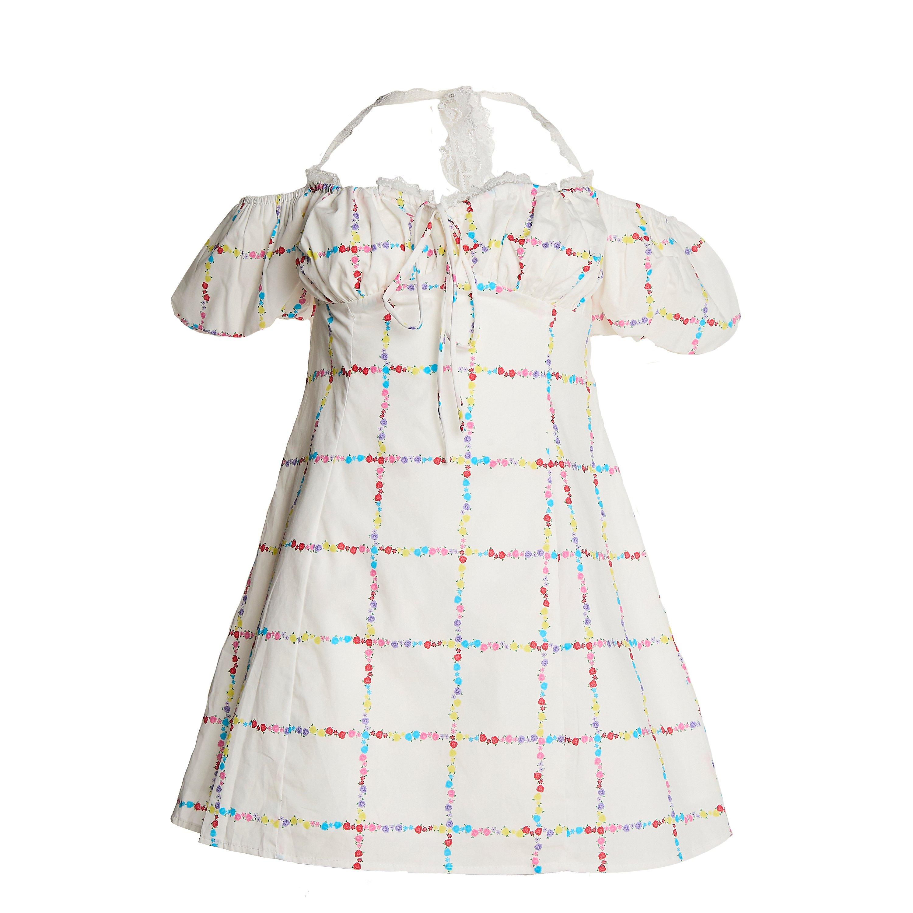 Collective The Label Picnic Floral A Line Mini Dress