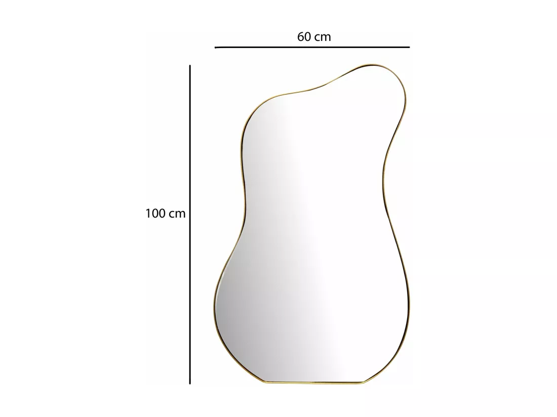 Miroir Murale Métal 60x100 cm Miroir Mur Couloir Grand Doré Asymétrique