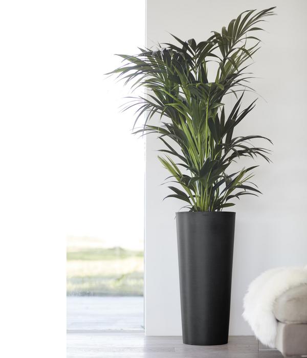 Ecopots Kunststoff-Topf Amsterdam hoch, rund