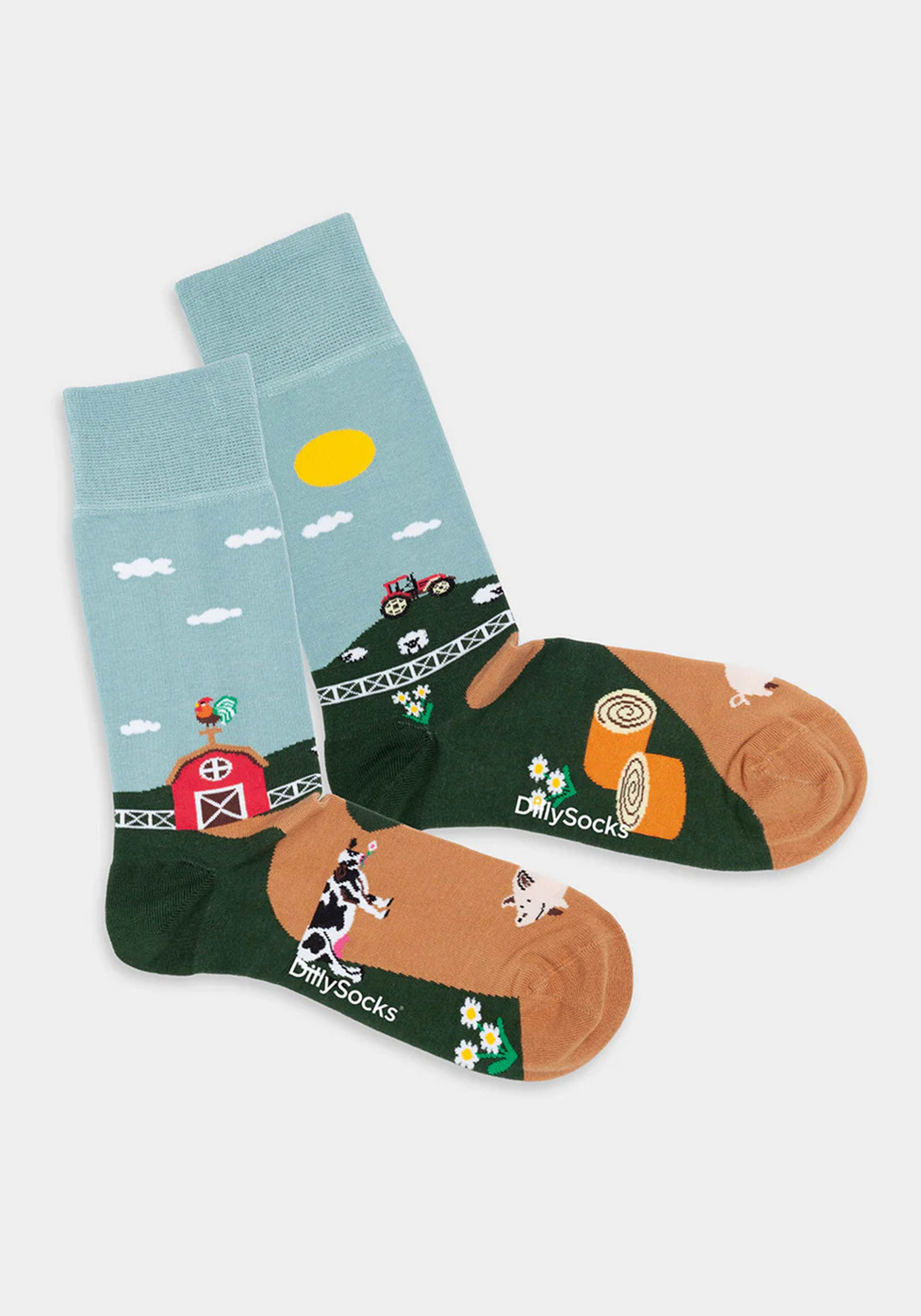 DillySocks Socken Farmer's Finest