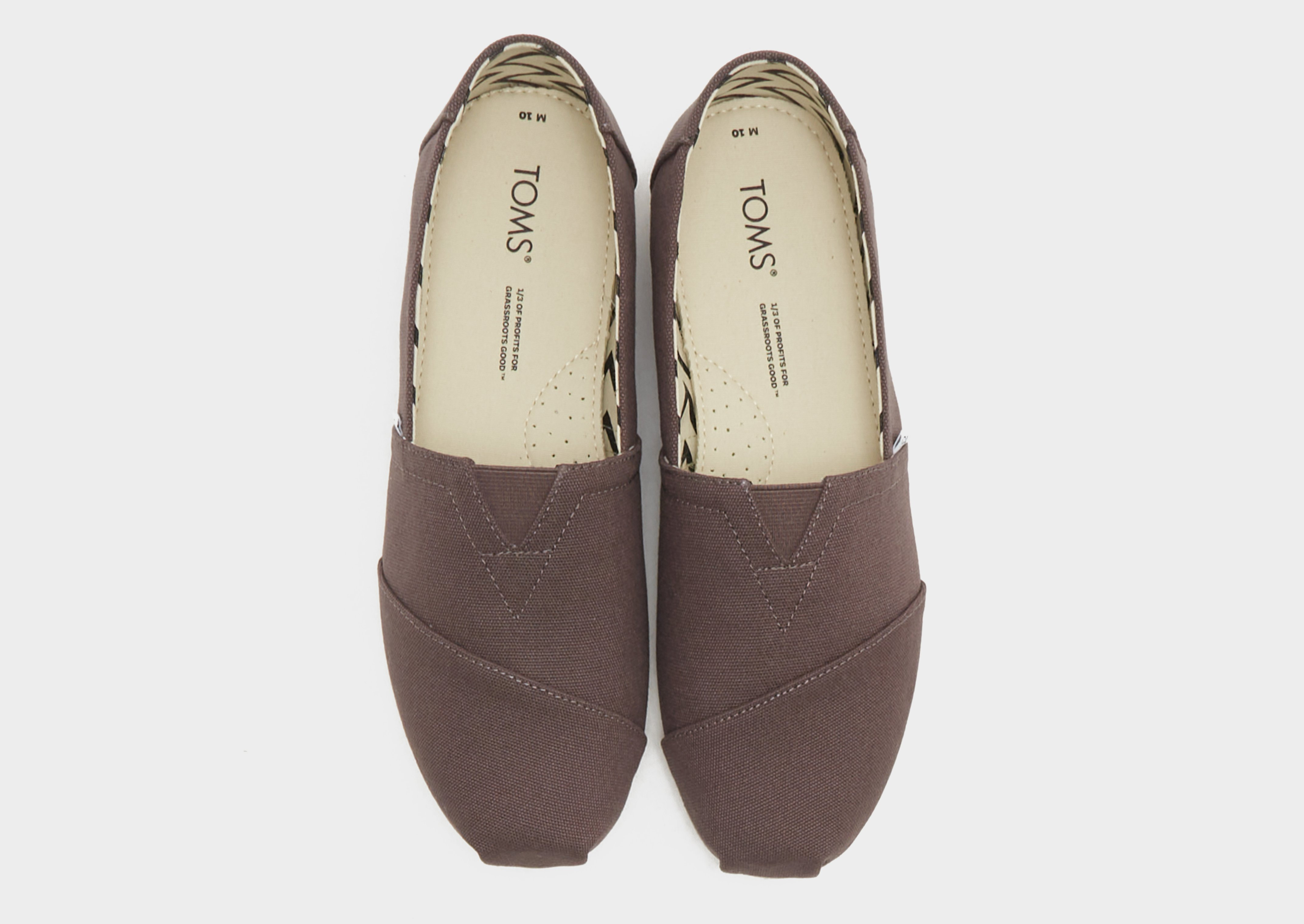 TOMS Alpargata Homme