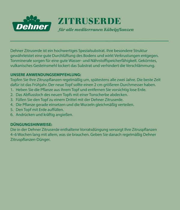 Dehner Zitruserde, 51 x 20 Liter