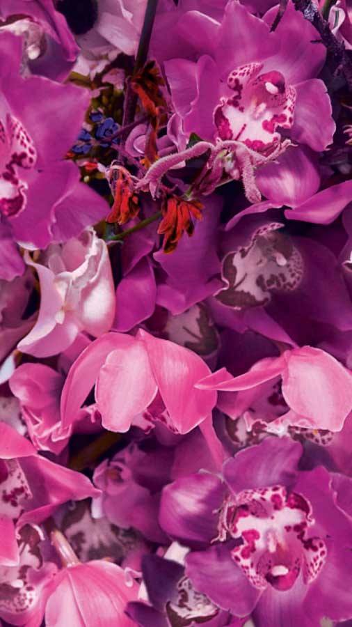 Shiseido Ginza Murasaki Eau De Parfum 30ml