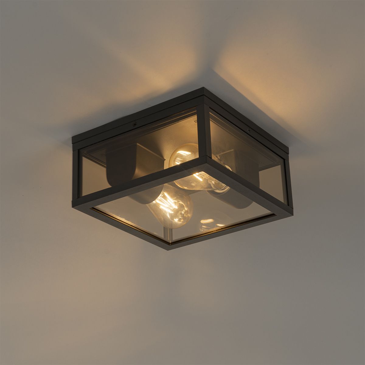 Plafondlamp zwart met smoke glas 2-lichts IP44 - Charlois