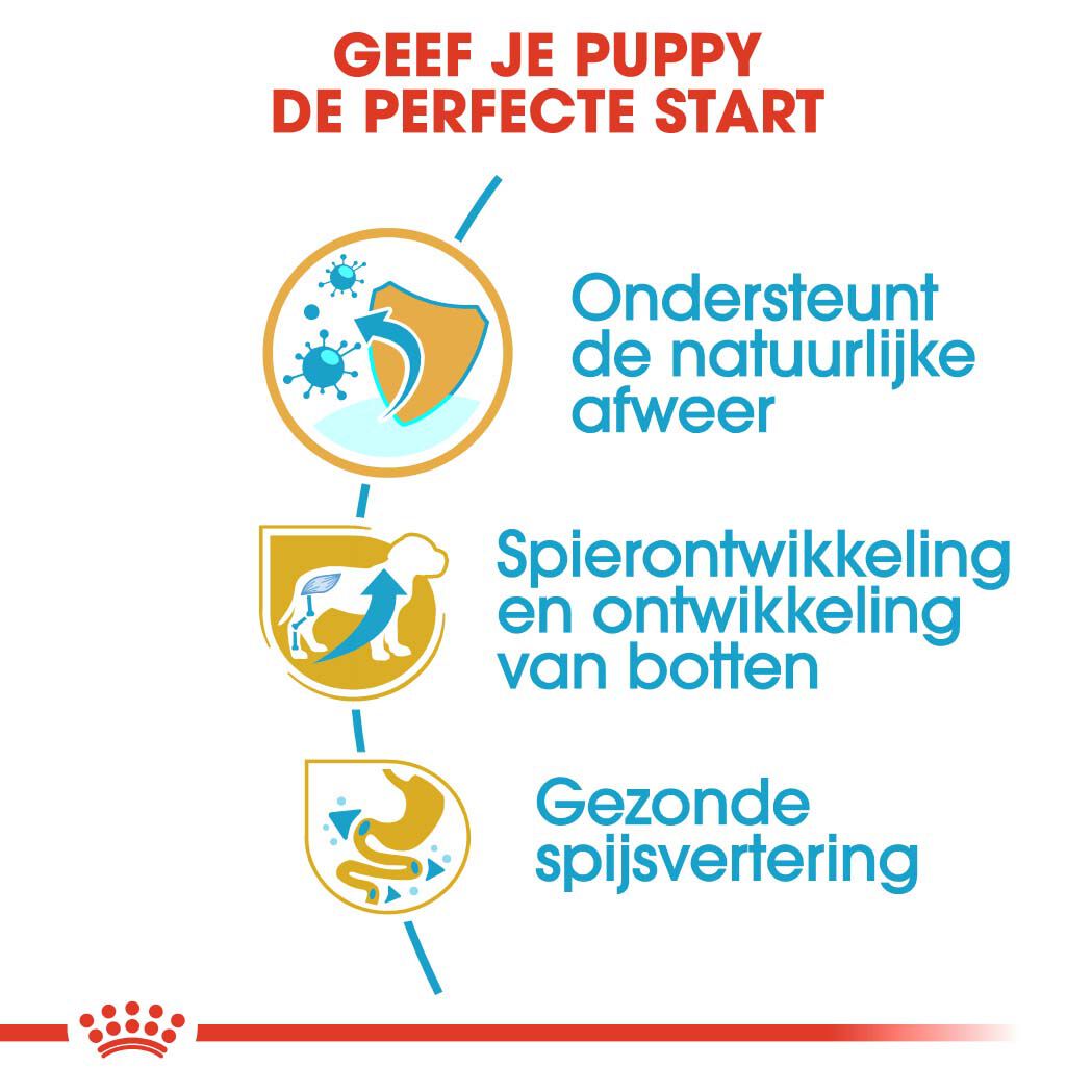 Royal Canin Rottweiler Puppy - Hondenvoer - 12 Kilogram - gevogelte
