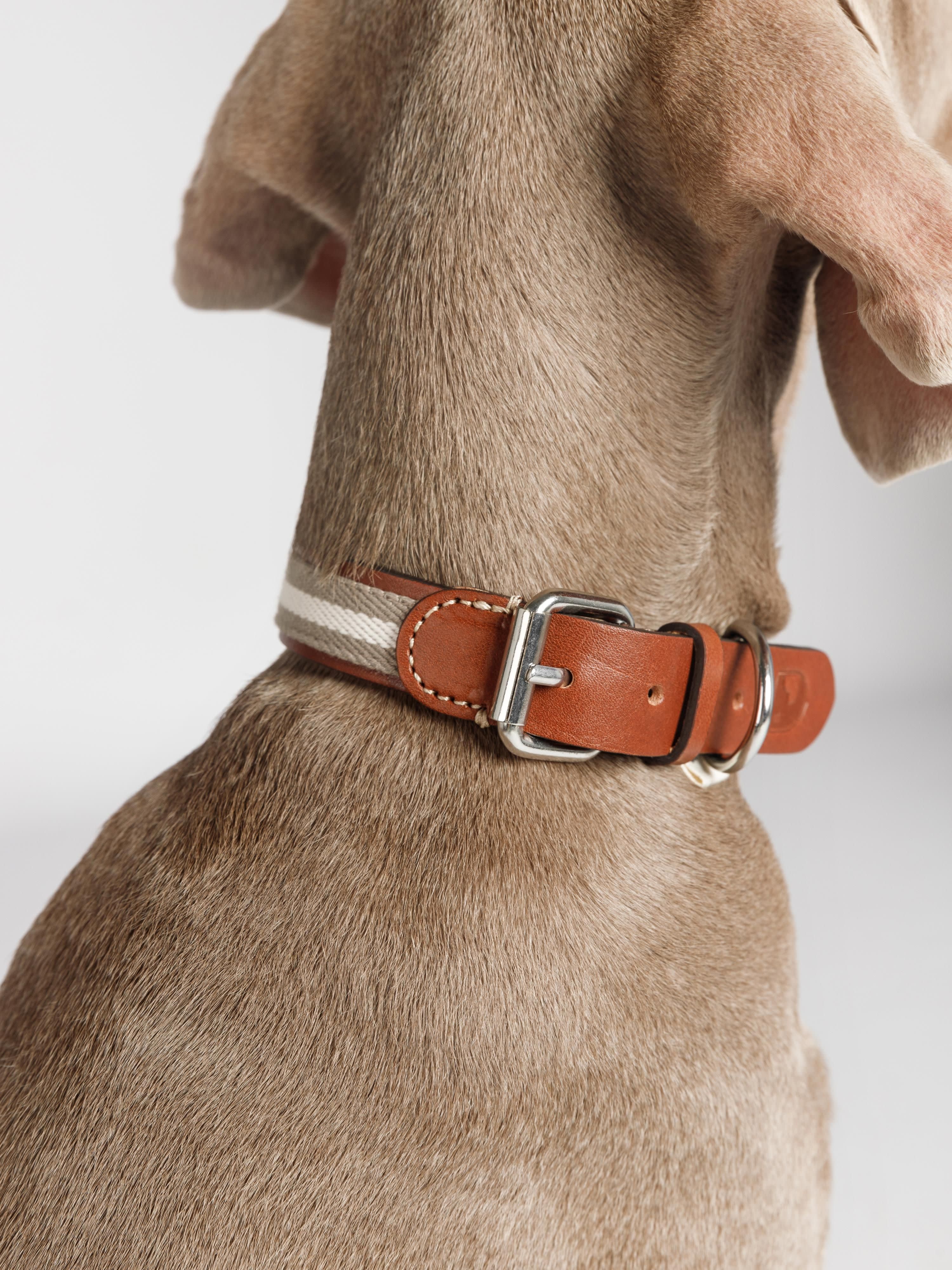 Handgemaakte huisdier halsband Baseball, in verschillende formaten