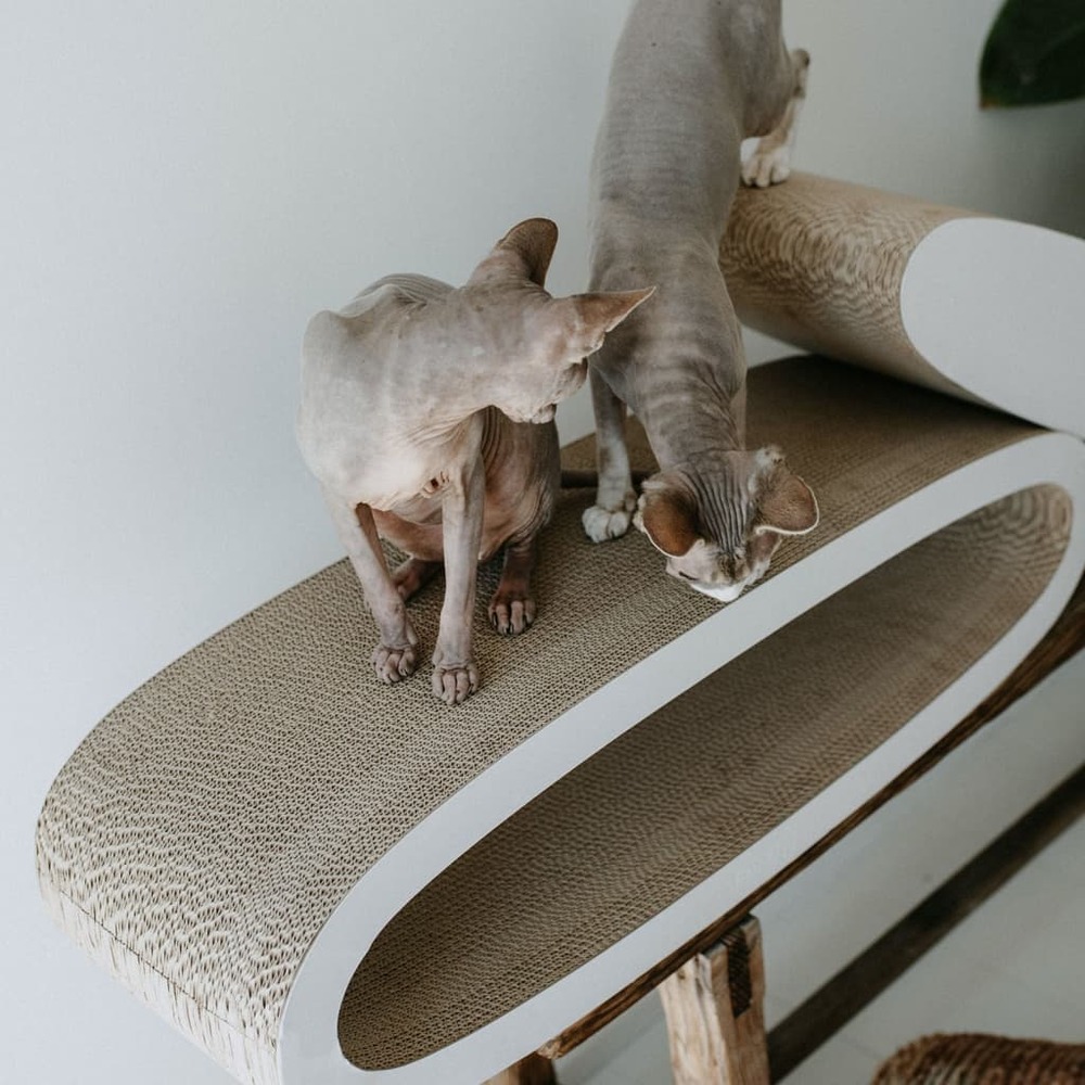 Griffoir pour chats 2 en 1 oval office