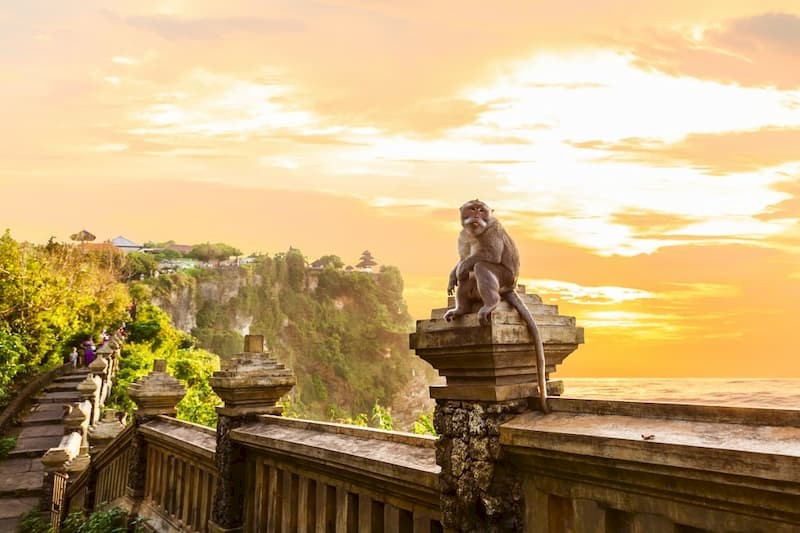 14-daagse rondreis Bali: Canggu, Ubud & Uluwatu