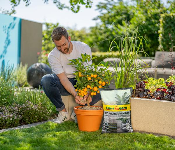 Floragard Bio Pflanzgranulat