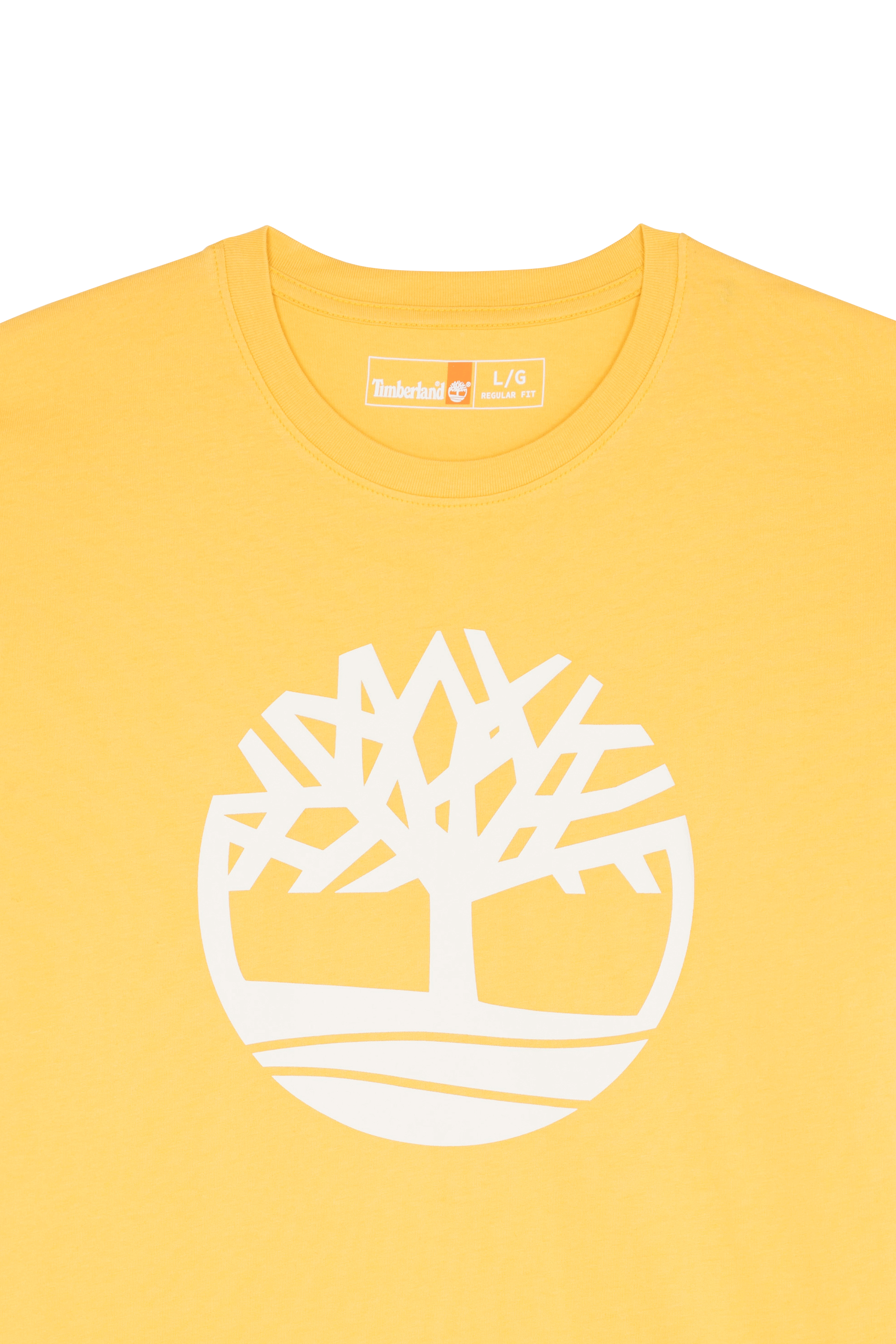 TIMBERLAND T-shirt  KENNEBEC  MIM Jaune