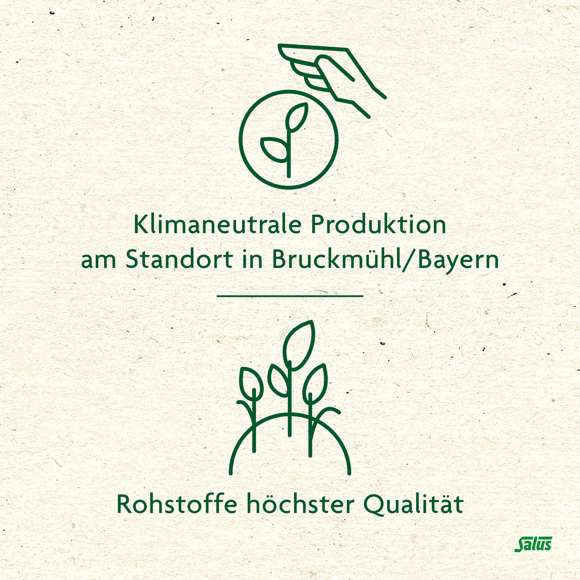 Salus® Passionsblumenkraut Tee
