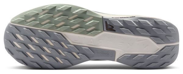 Chaussures Trail Nike Pegasus Trail 5 GTX Gris Homme