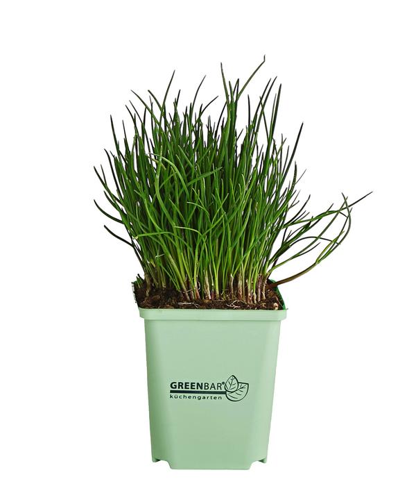 GREENBAR® Schnittlauch