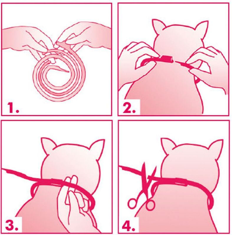 Felisept - Home Comfort - Kalmeringshalsband - Kattenmunt - Natuurlijk