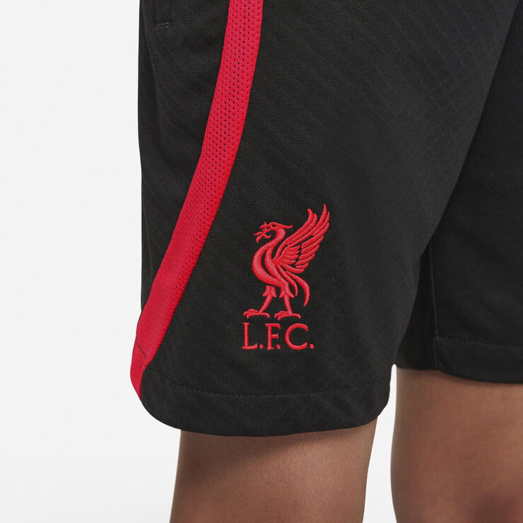 Nike Liverpool Fc Strike Dri Fit Shorts Sort