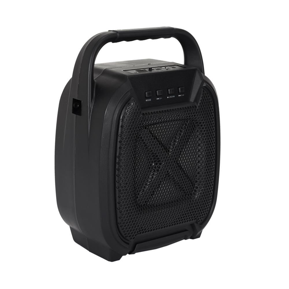 ENCEINTE SANS FIL 8W KARAOKE 2 MICROS INTEGRES
