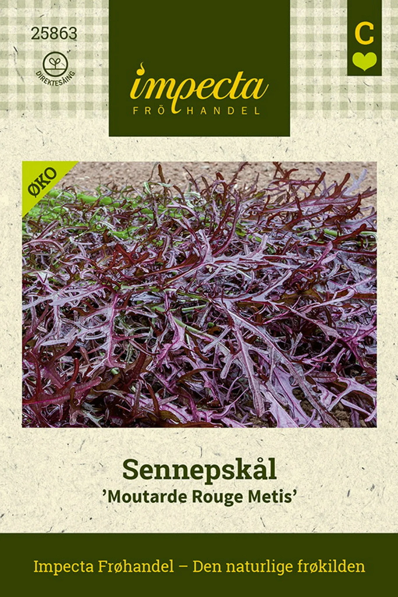 Brassica juncea 'Moutarde Rouge Metis' Sennepskål 'Moutarde Rouge Metis'