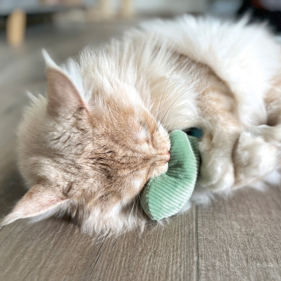 Aumüller Katzenspielkissen Herz Cord