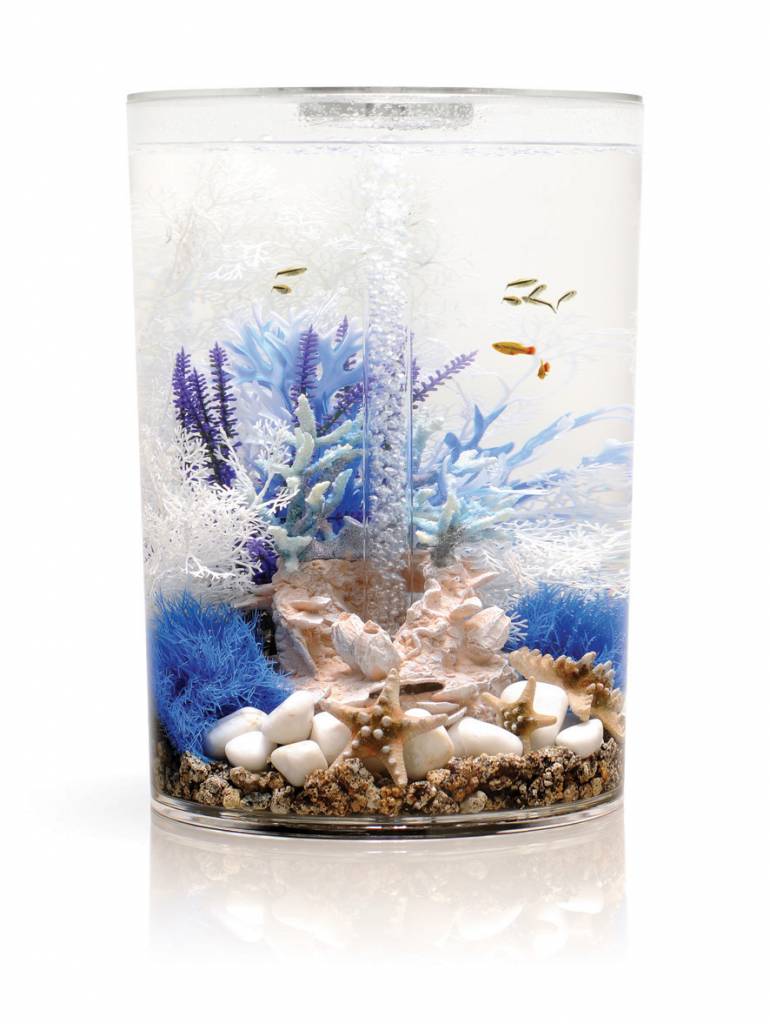 Easy plants medium blue/purple 2x. Goede kwaliteit.