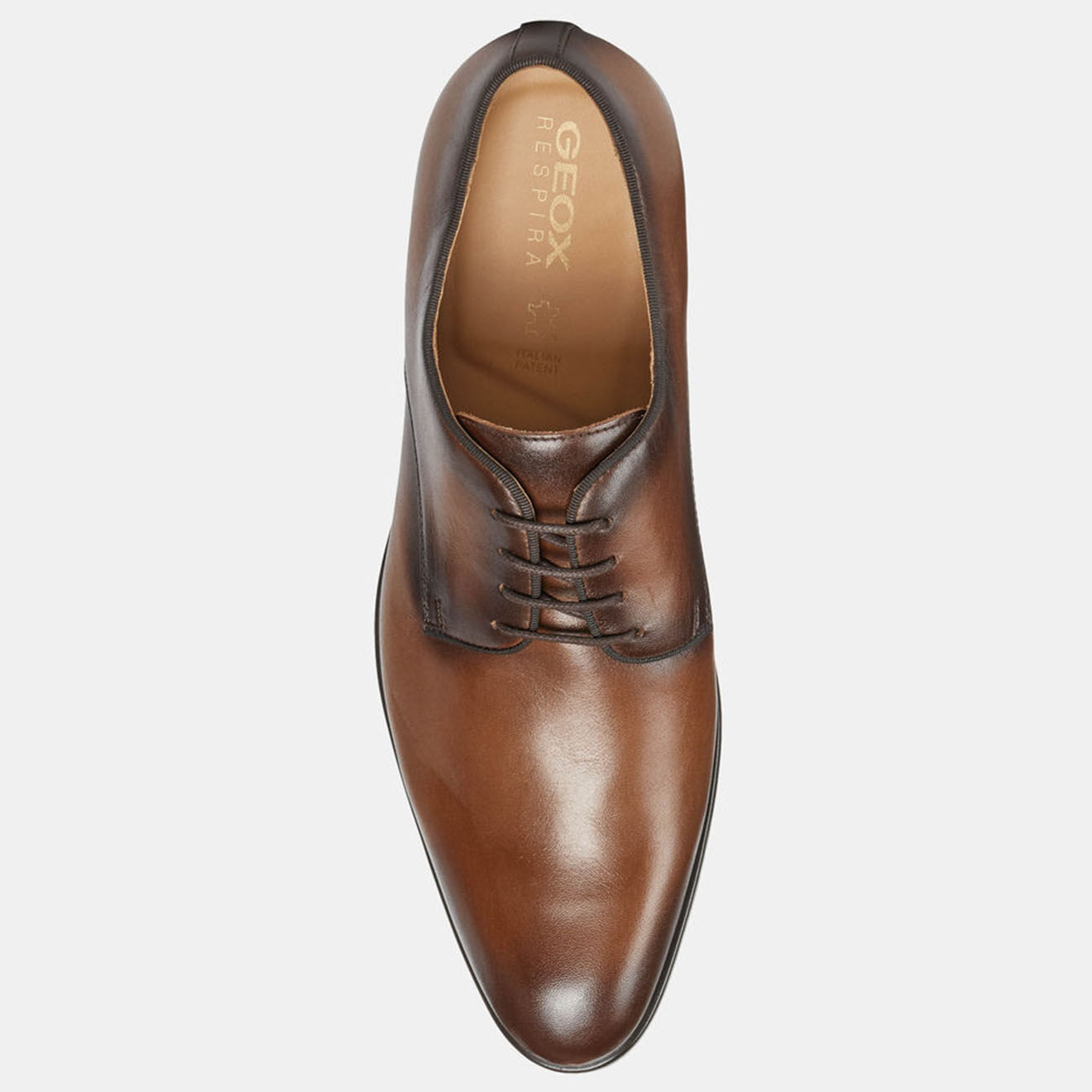 Geox Derbies en Cuir Lacopo cognac