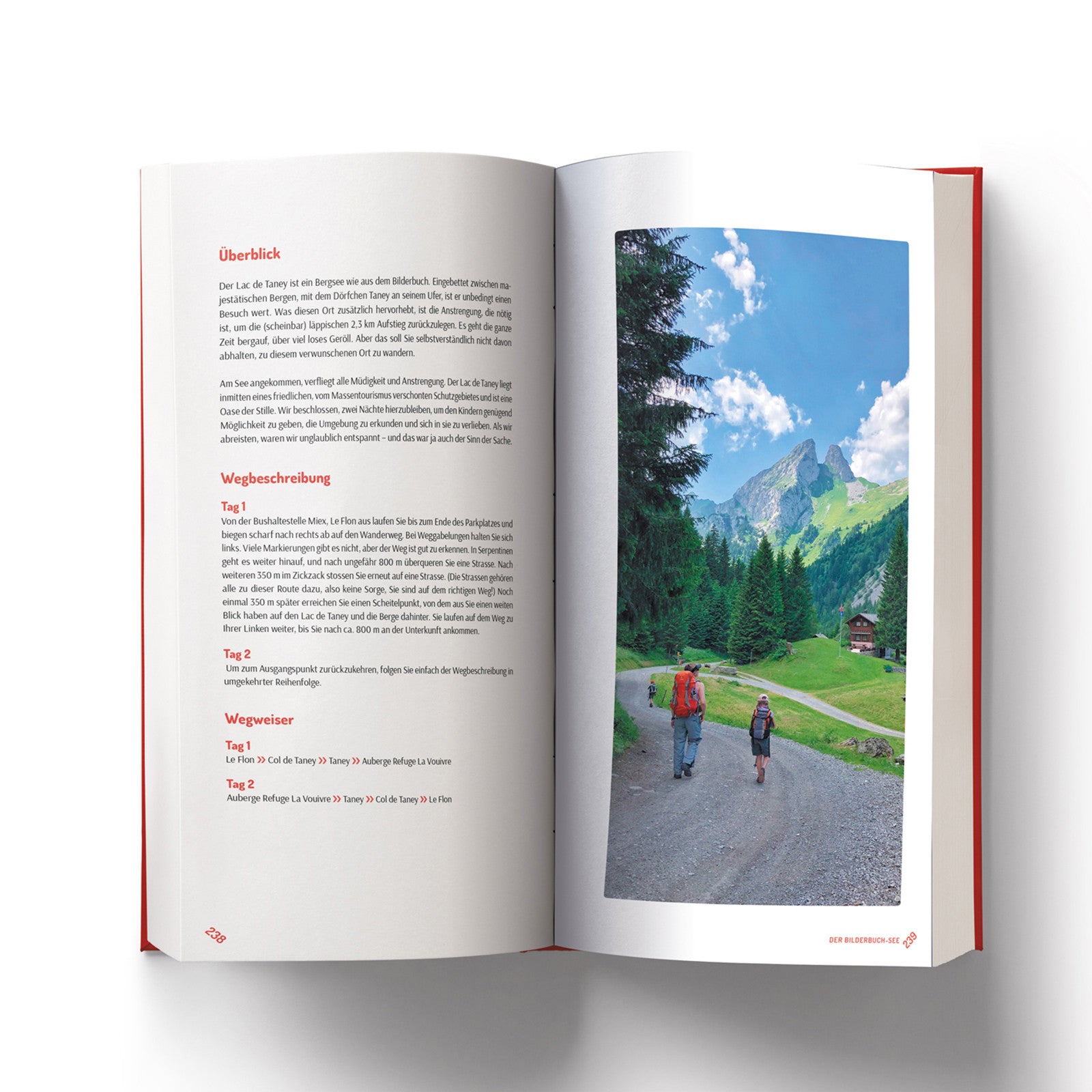 Buch Frischluftkinder Schweiz 2, Hüttenabenteuer