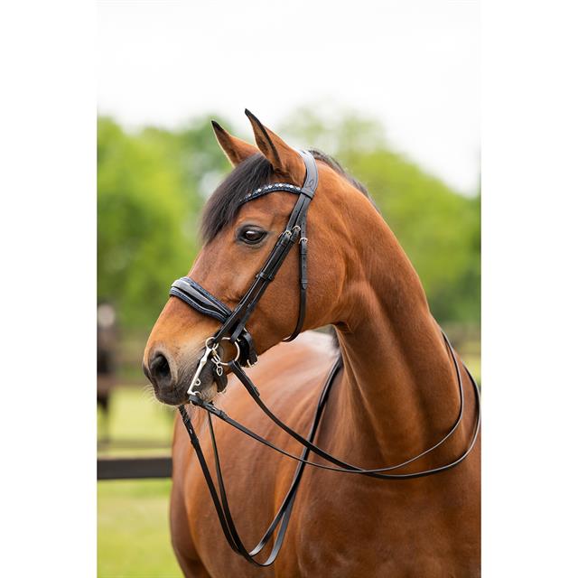 Stang En Trens HB Showtime All You Needed Zwart-blauw