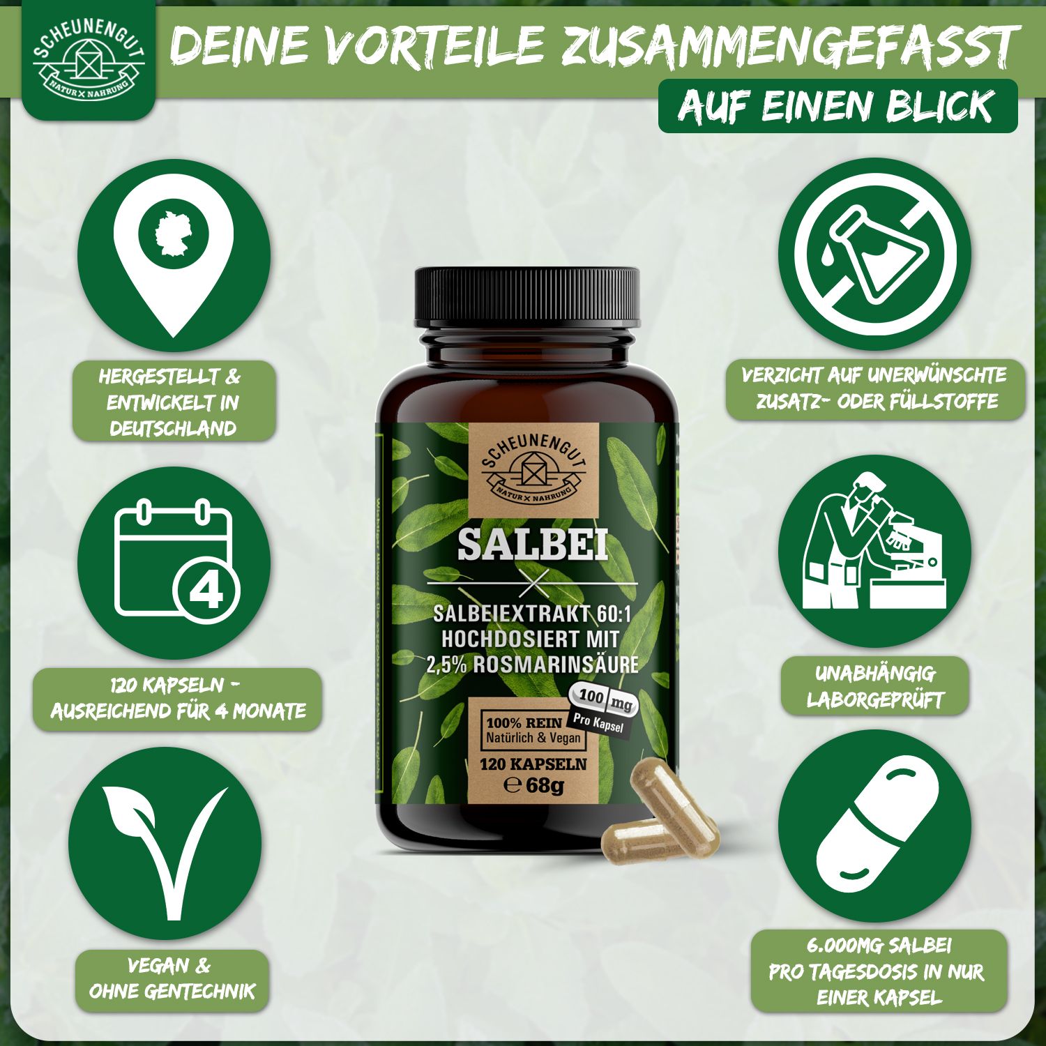 Scheunengut® Salbei Extrakt 60:1 | Hochdosiert mit mindestens 2,5% Rosmarinsäure
