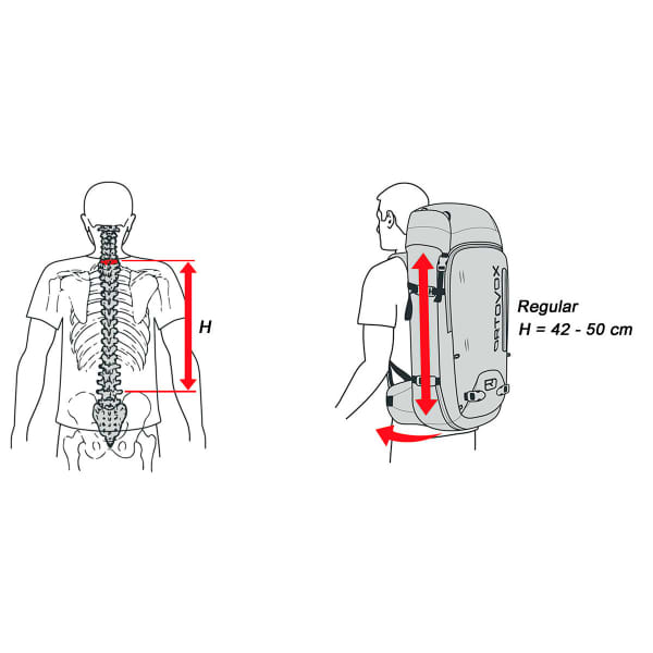 Sac airbag ORTOVOX ASCENT 30 AVABAG KIT REGULAR NOIR ANTHRACITE
