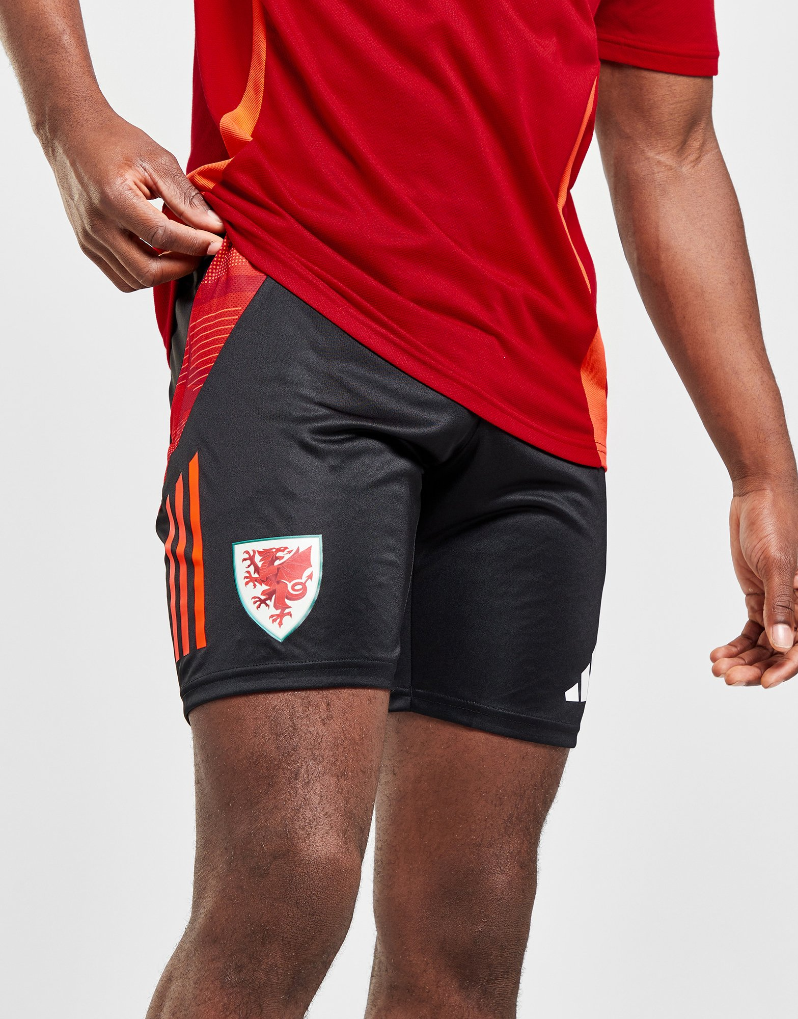 adidas Short d'entraînement Pays de Galles Tiro 24 Homme