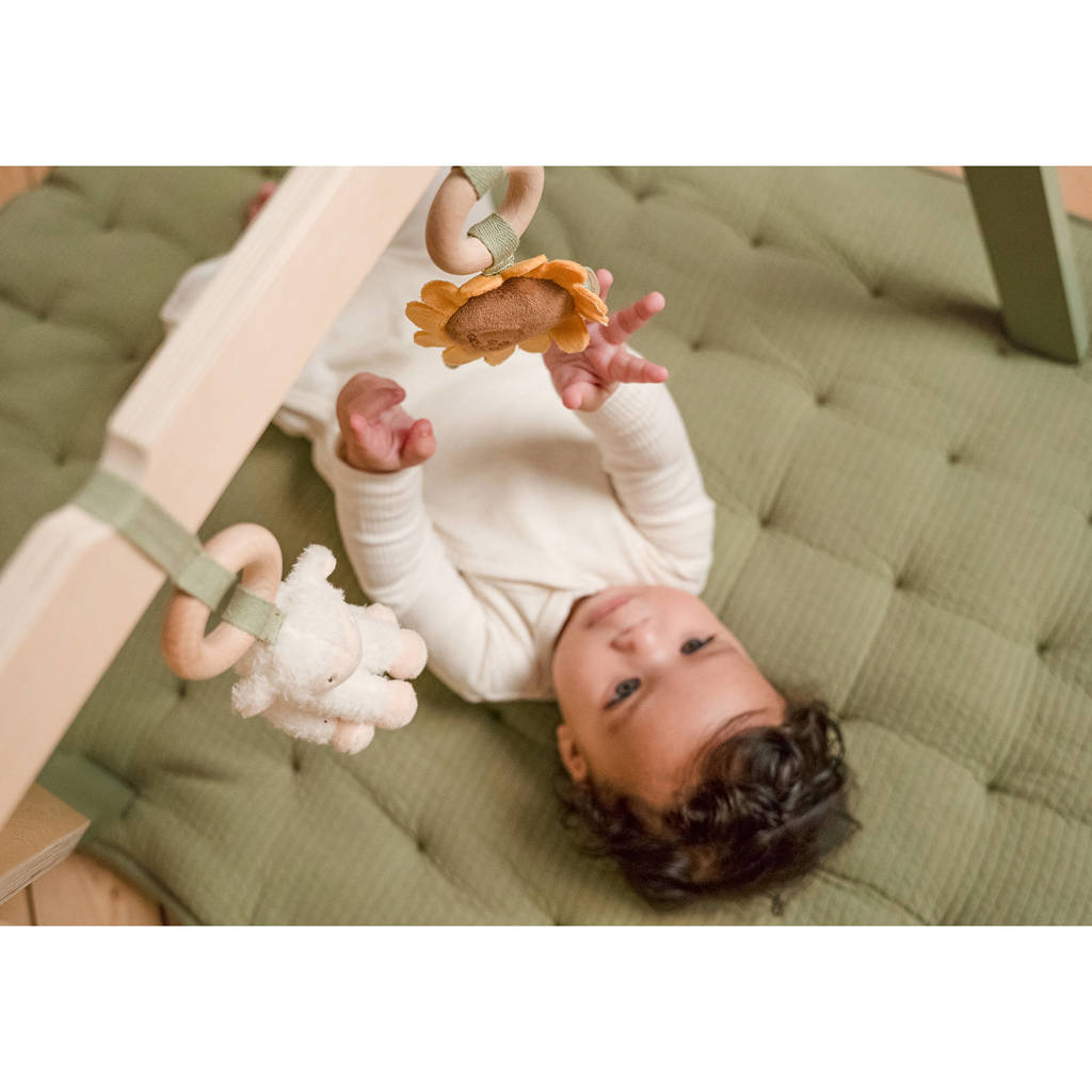 Babygym Little Farm