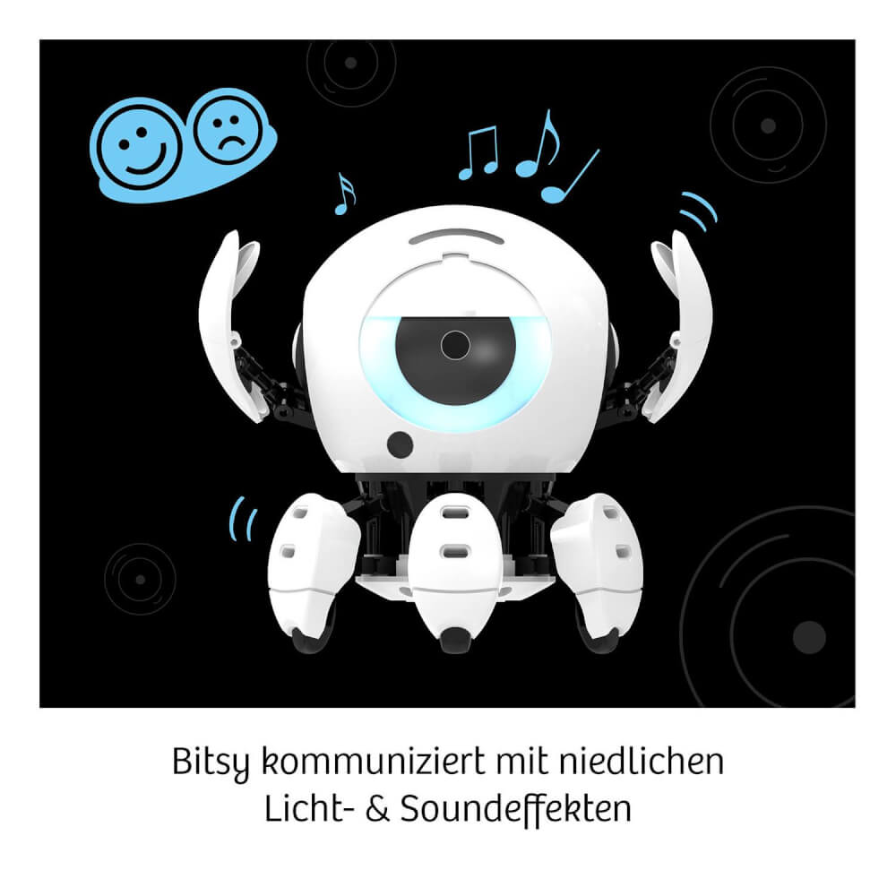 Bitsy - Dein cleverer Robo-Freund