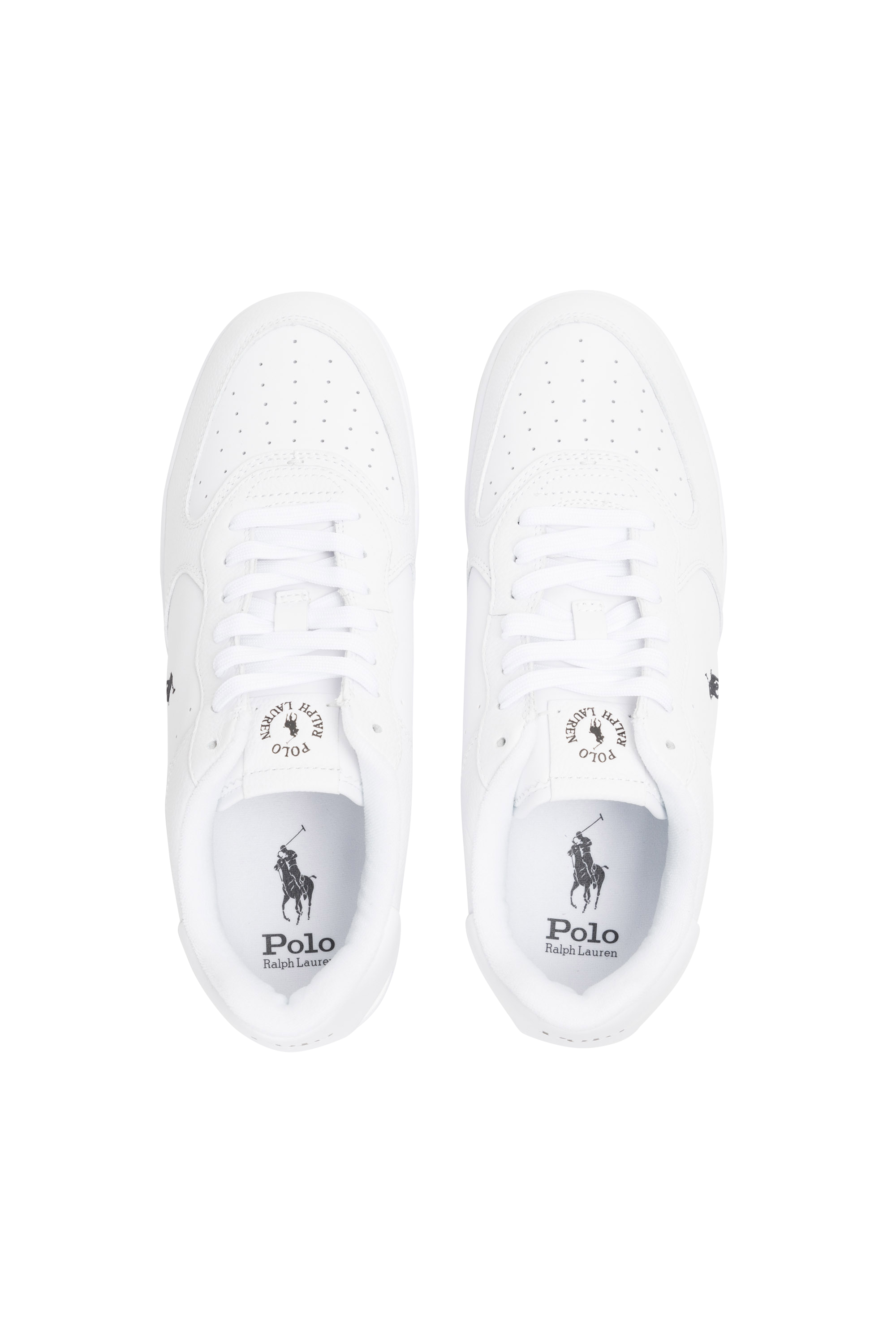 POLO RALPH LAUREN Baskets Masters Court Multicolore