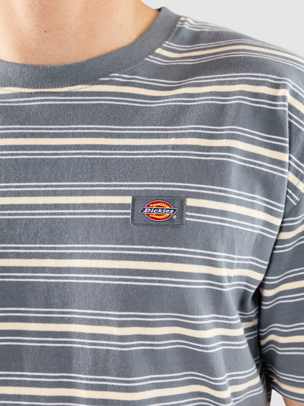 Dickies Lewistown Stripe T-Shirt stormy weather