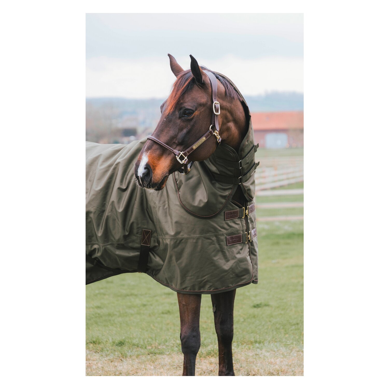 KENTUCKY Weidedecke All Weather Waterproof Pro 160 g - khaki