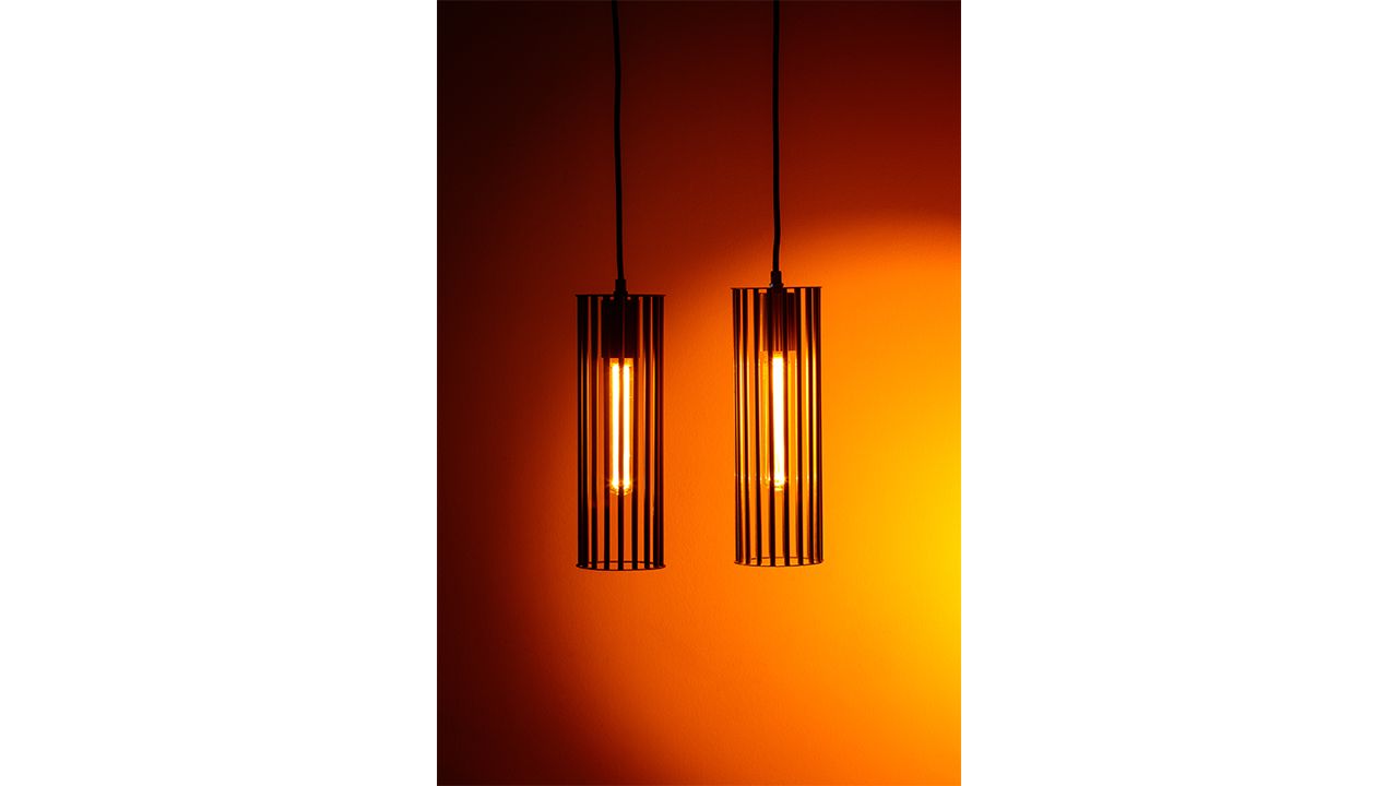 Hanglamp 05-HL4188-30 Birdy  | ETHB120 x D9.6 cm