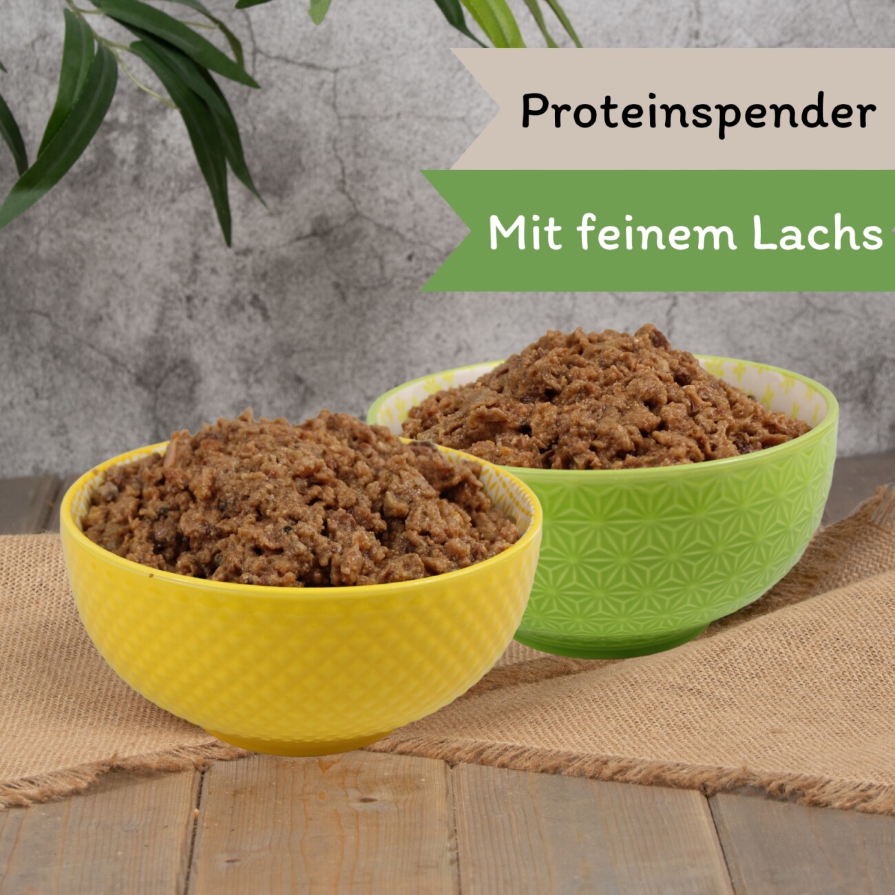 Lyra Pet Lecker.Pet Mia's Feine Paté Reich an Lachs Katzenfutter Nassfutter Vollnahrung 17x100 g