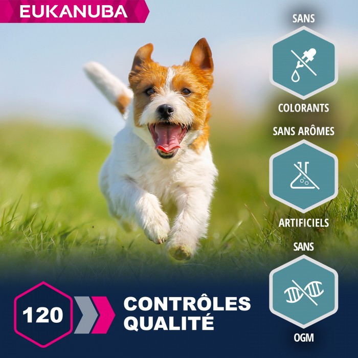 Eukanuba Adult Small & Medium Breed - Saumon et orge