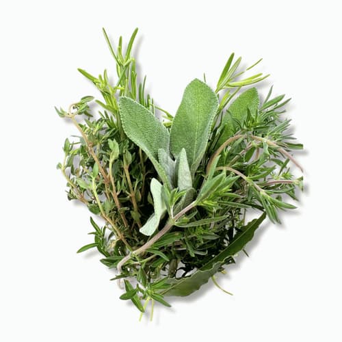 Kräuter der Provence
