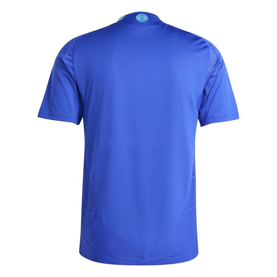 Argentine Maillot Extérieur 2024/25 Authentic