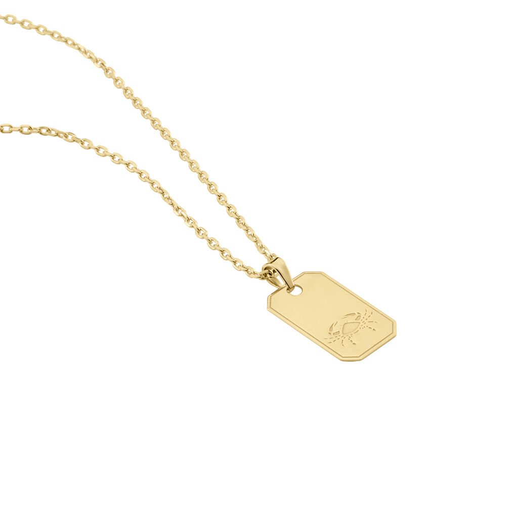 Collier Plaqué Or Quintien